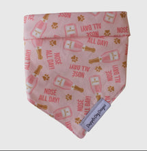 Load image into Gallery viewer, Nose All Day Dog Bandana-Over the Collar
