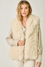 Load image into Gallery viewer, Shaggy Faux Fur Vest
