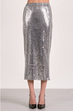Load image into Gallery viewer, Silver Sequin Skirt
