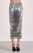 Load image into Gallery viewer, Silver Sequin Skirt
