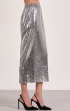 Load image into Gallery viewer, Silver Sequin Skirt
